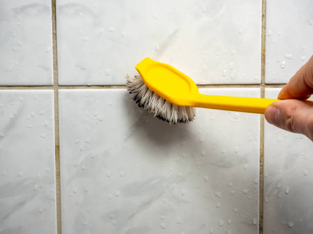 Best Certified Mold Removal  in North Alamo, TX