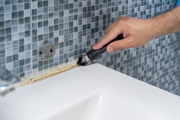 Best Toxic Mold Removal  in North Alamo, TX